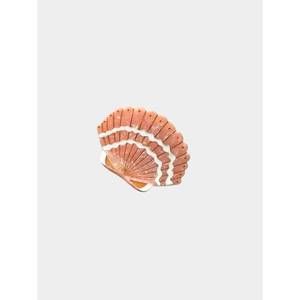 NEW SOLAR ECLIPSE women's seashell claw clip in pink